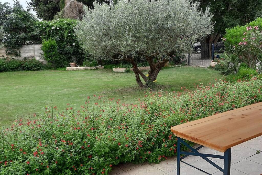 Villa L'Estel En Campagne Avec Piscine Privee Proche Arles Et Avignon 타라스콩 외부 사진